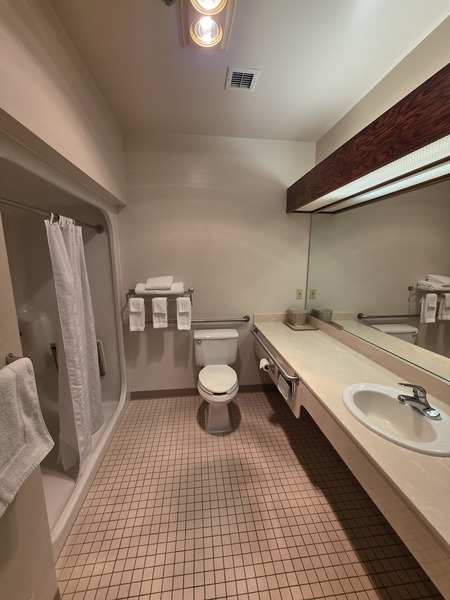 Deluxe King Room-Accessible, First Floor Photo 2